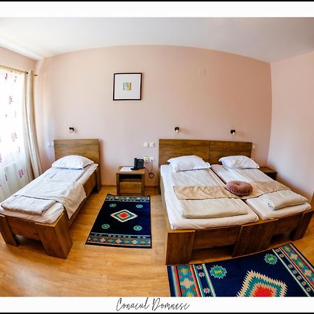 Conacul Domnesc Hotel Scheia Exterior photo